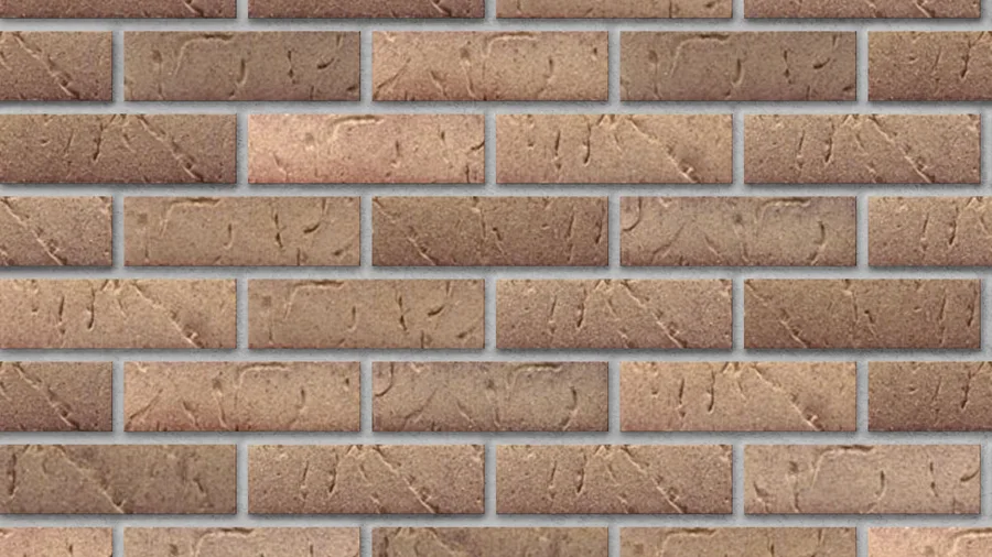 Endicott Orleans Sands thin brick