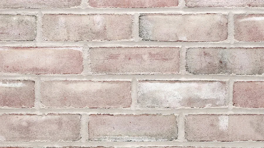General Shale Discovery Park thin brick