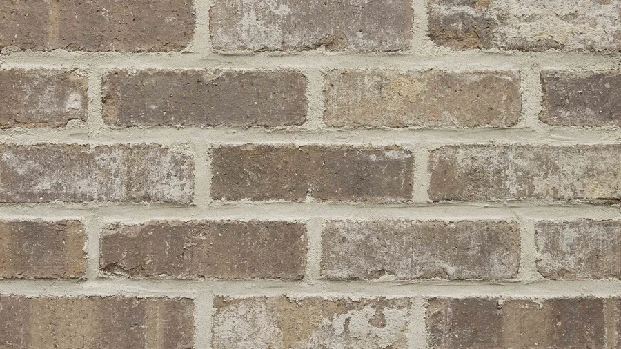 General Shale Ghosttown thin brick