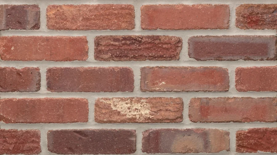 General Shale New Foundland thin brick