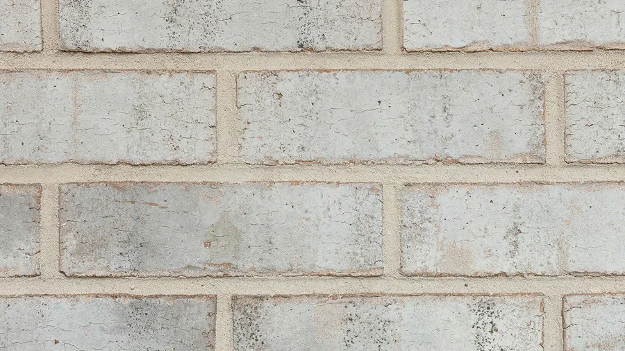 General Shale Port Huron thin brick