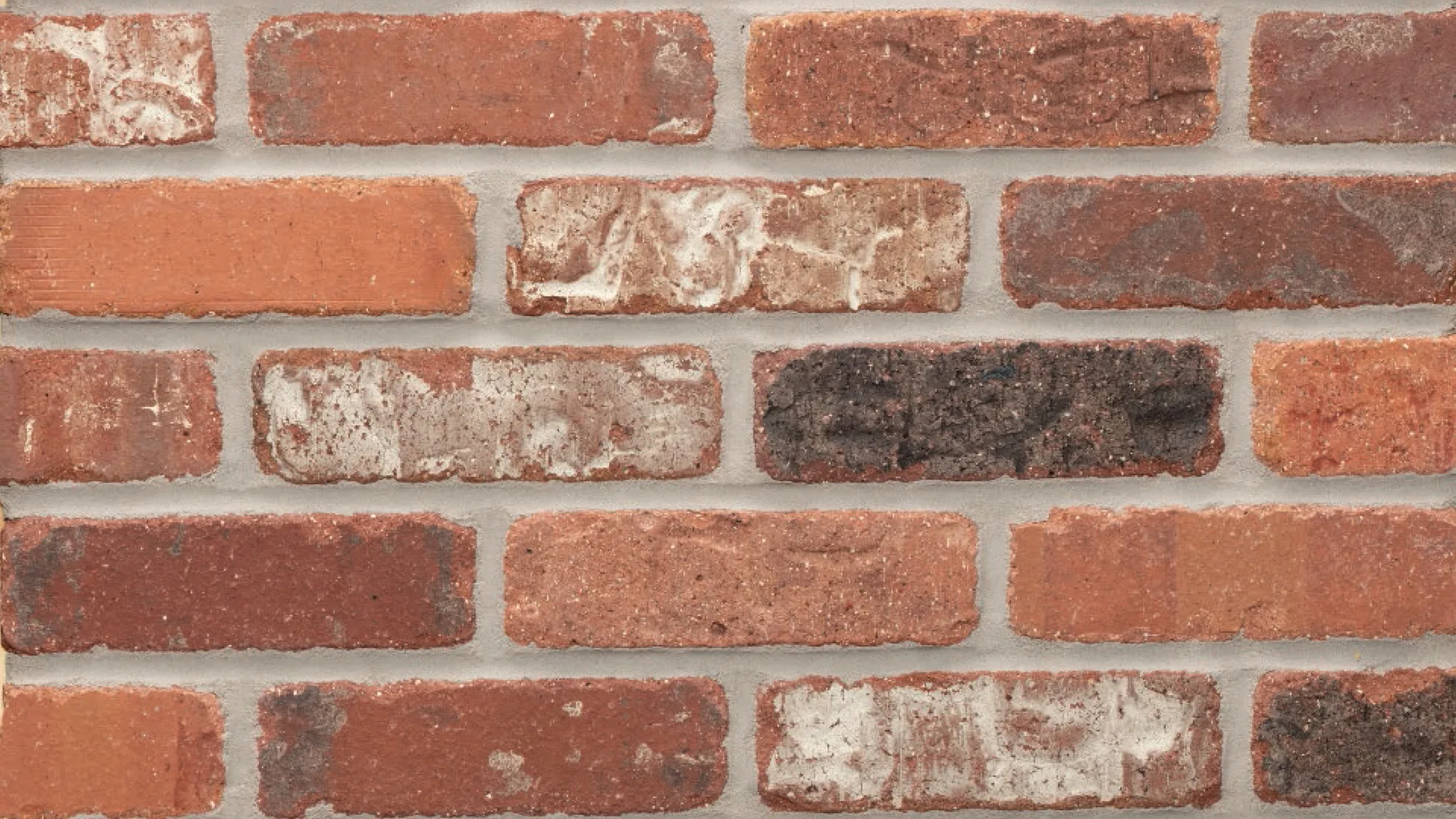Alberta thin brick by General Shale