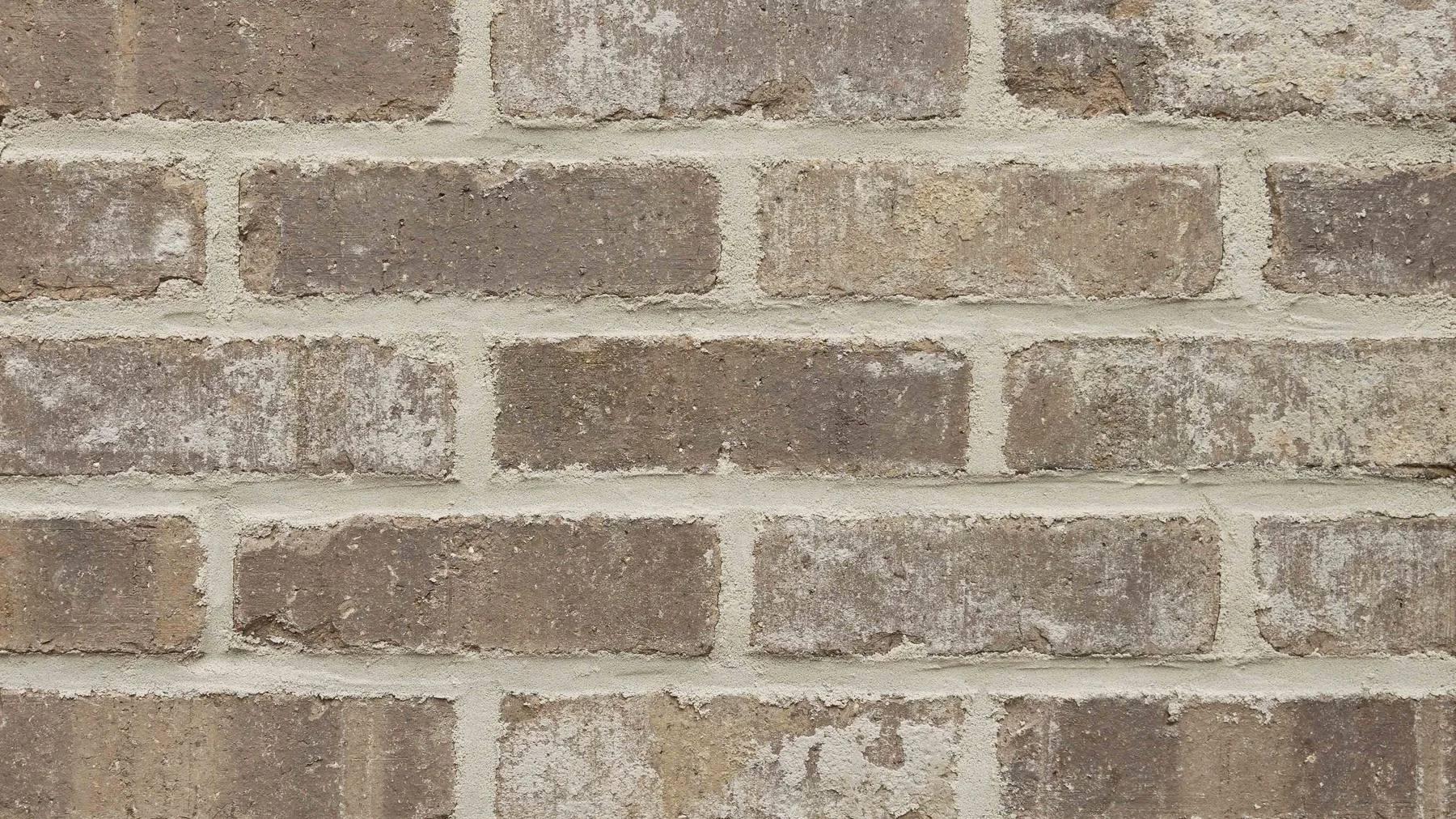 Ghosttown thin brick by General Shale