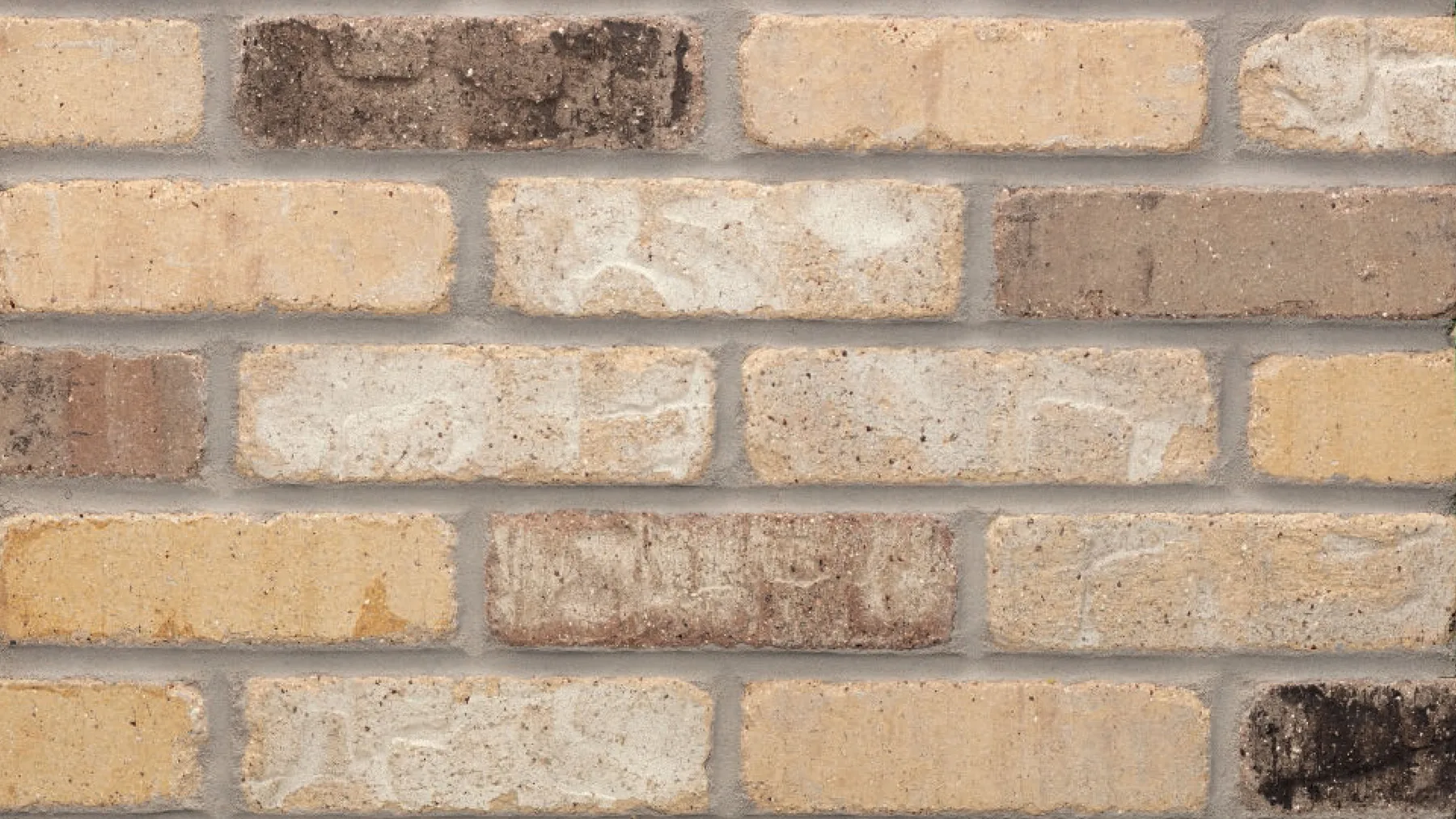 Nova Scotia thin brick by General Shale