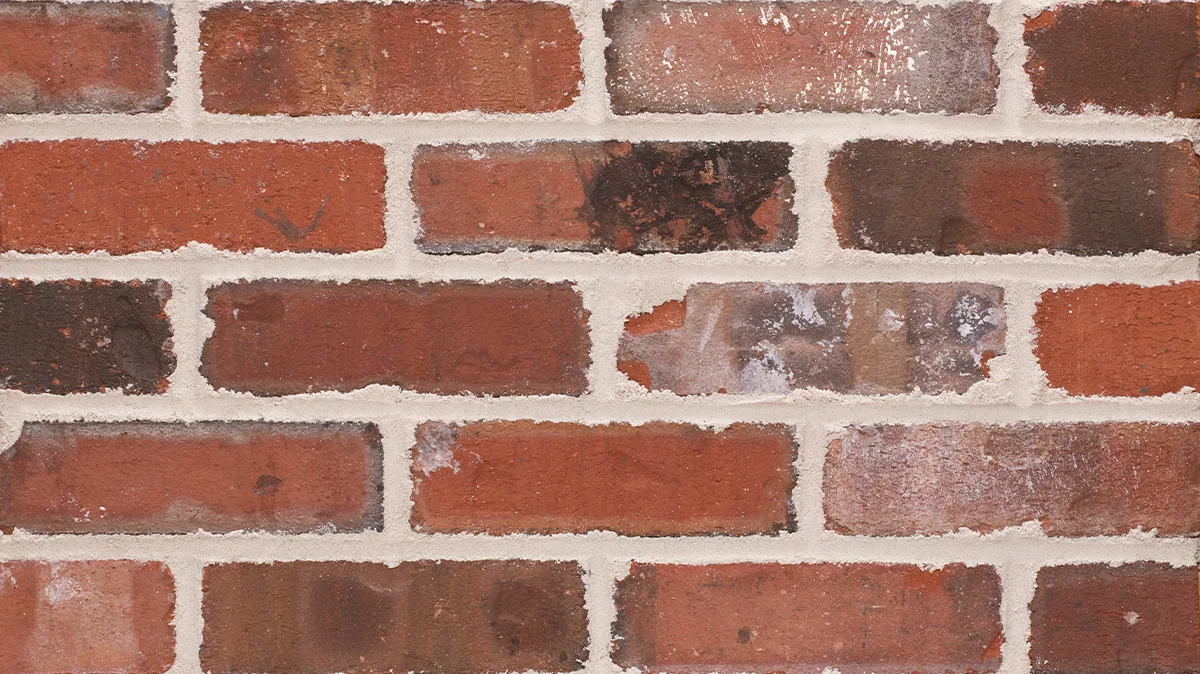 Ole Tappan thin brick by General Shale