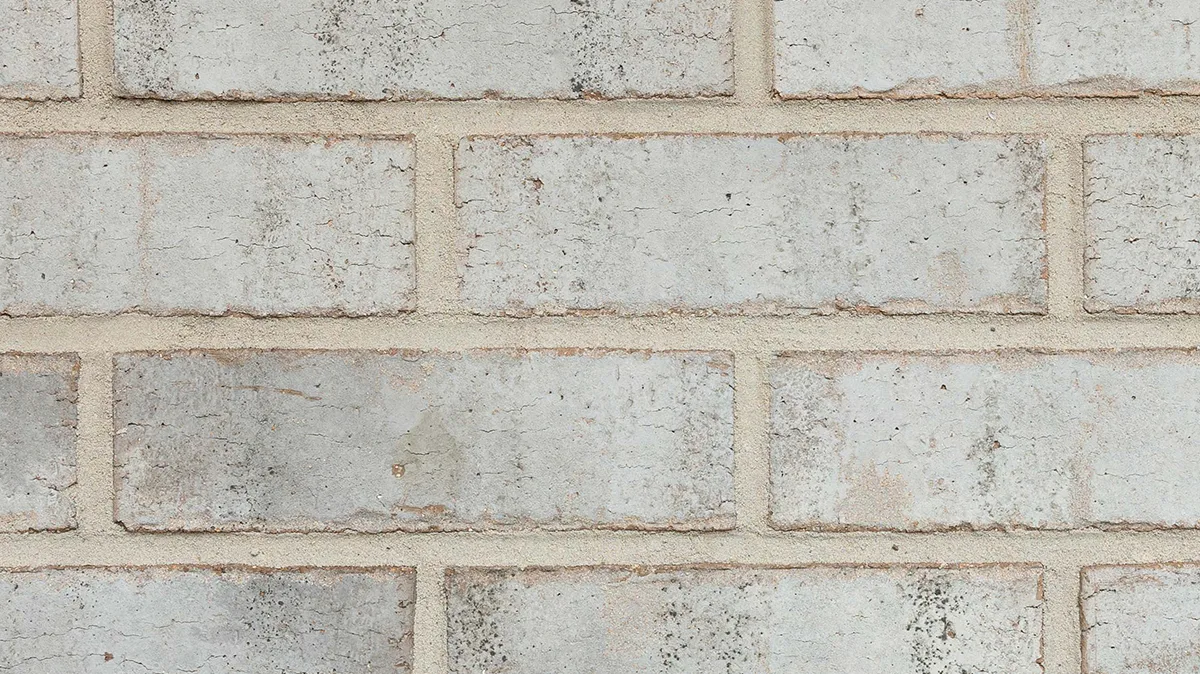 Port Huron thin brick by General Shale