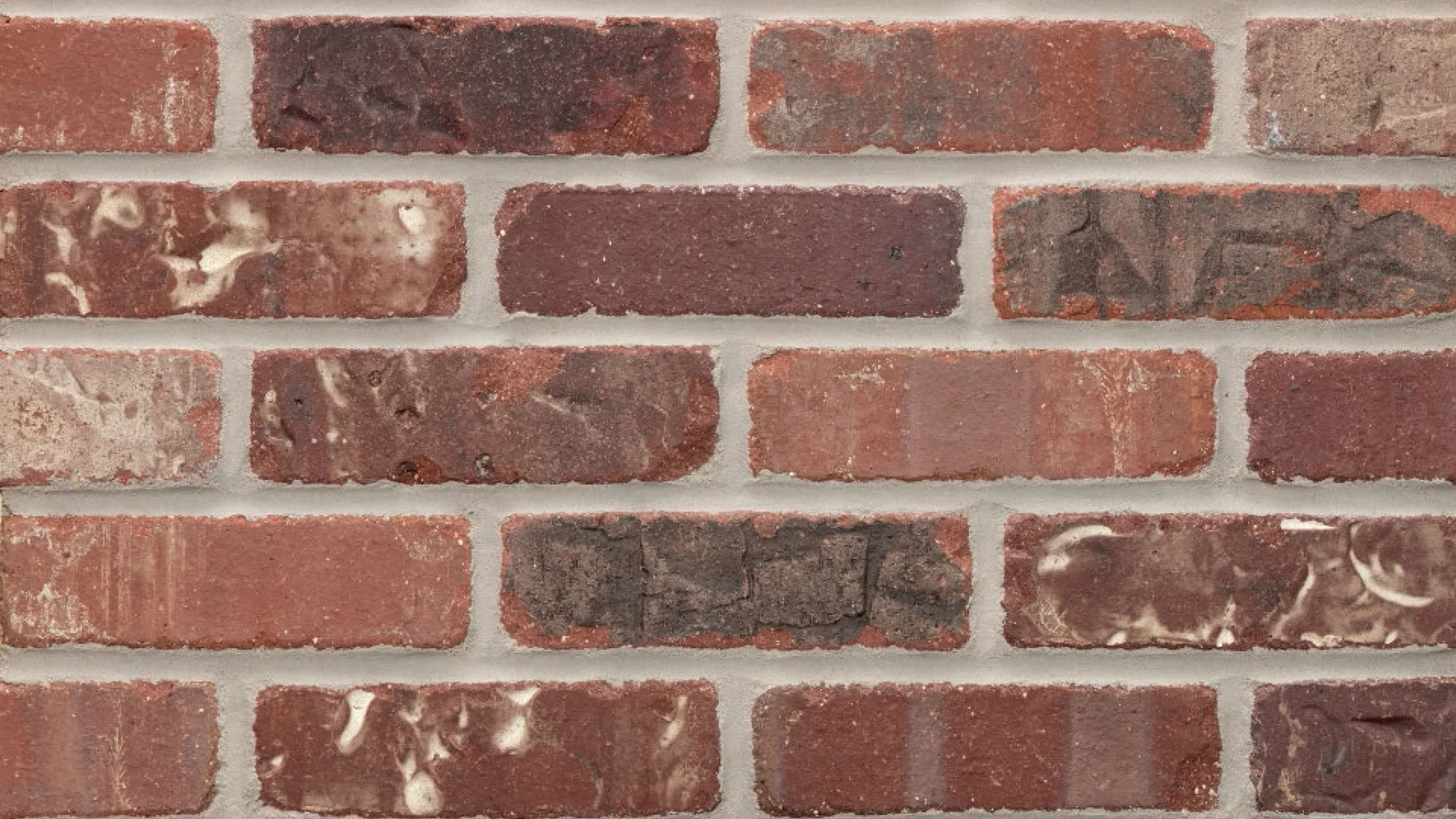 Stillwater thin brick by General Shale