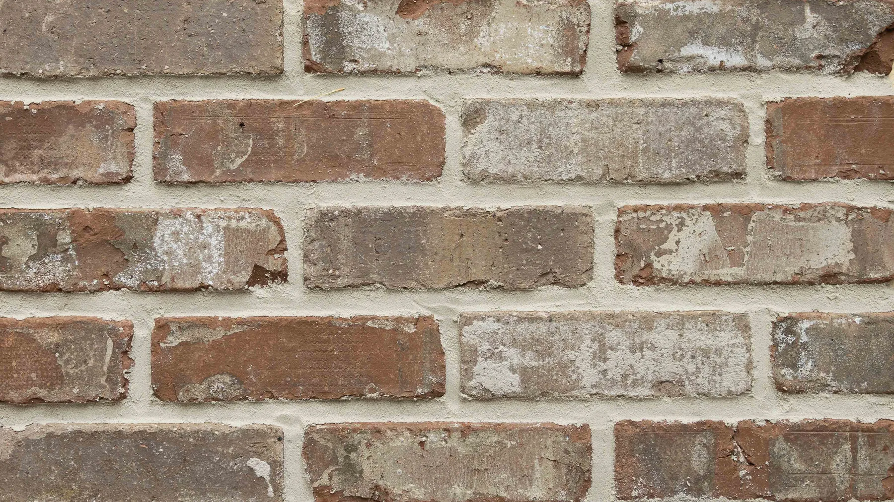 Wolftown thin brick by General Shale