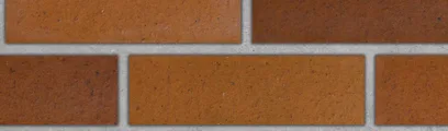 Copper Canyon thin brick by Endicott