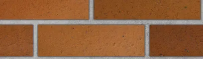 Copper Canyon thin brick by Endicott