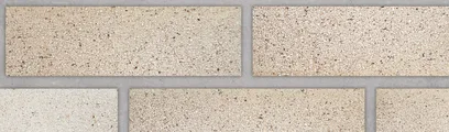 Ivory White Sands thin brick by Endicott