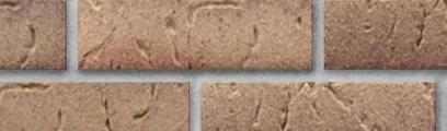 Orleans Sands thin brick by Endicott