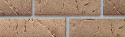 Orleans Sands thin brick by Endicott