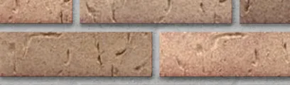 Orleans Sands thin brick by Endicott