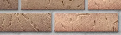 Orleans Sands thin brick by Endicott