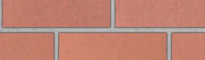 Rose Blend thin brick by Endicott