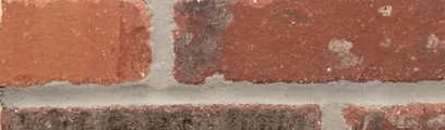 Alberta thin brick by General Shale