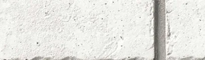 Bloomfield thin brick by General Shale