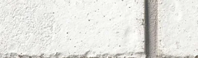 Bloomfield thin brick by General Shale