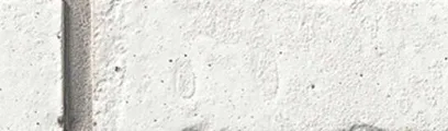 Bloomfield thin brick by General Shale