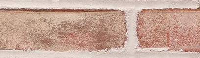 Buffalo Park thin brick by General Shale