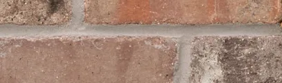 Carbon thin brick by General Shale