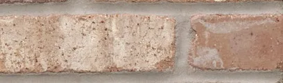Carbon thin brick by General Shale