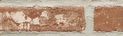 Downtown thin brick by General Shale