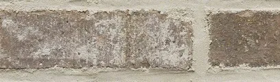 Ghosttown thin brick by General Shale
