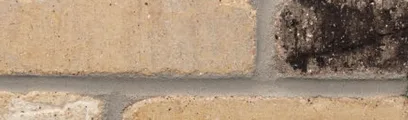 Nova Scotia thin brick by General Shale