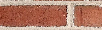 Ole Canarsie thin brick by General Shale