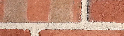 Ole Canarsie thin brick by General Shale