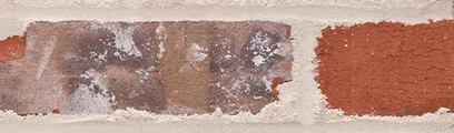 Ole Tappan thin brick by General Shale