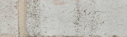 Port Huron thin brick by General Shale