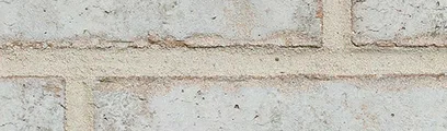 Port Huron thin brick by General Shale