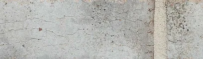 Port Huron thin brick by General Shale