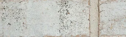 Port Huron thin brick by General Shale