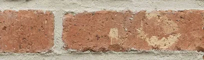 Spurtown thin brick by General Shale