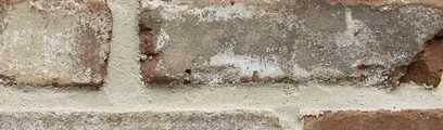 Wolftown thin brick by General Shale