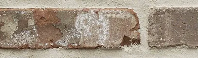 Wolftown thin brick by General Shale