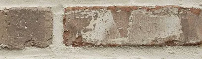 Wolftown thin brick by General Shale
