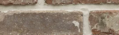 Wolftown thin brick by General Shale