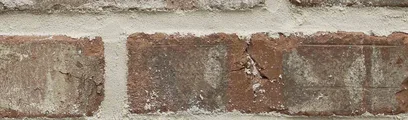 Wolftown thin brick by General Shale