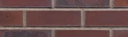 Rustic Rave thin brick by King Klinker