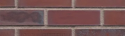 Rustic Rave thin brick by King Klinker