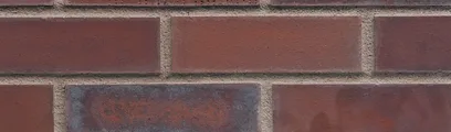 Rustic Rave thin brick by King Klinker