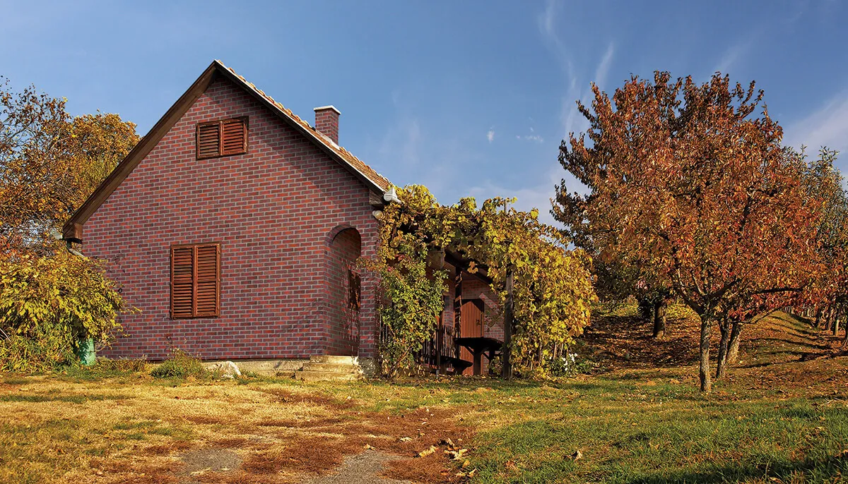King Klinker Aria Rustica brick slips on a building