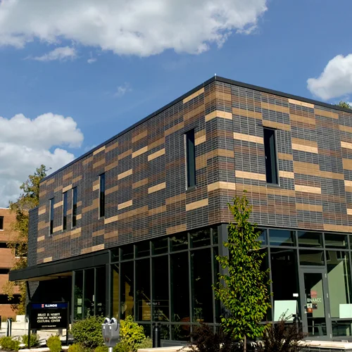 Bruce D. Nesbitt African American Cultural Center, Champaign, Illinois, faced in Endicott Manganese Ironspot, Sienna Ironspot, Dark Sandstone, Light Sandstone