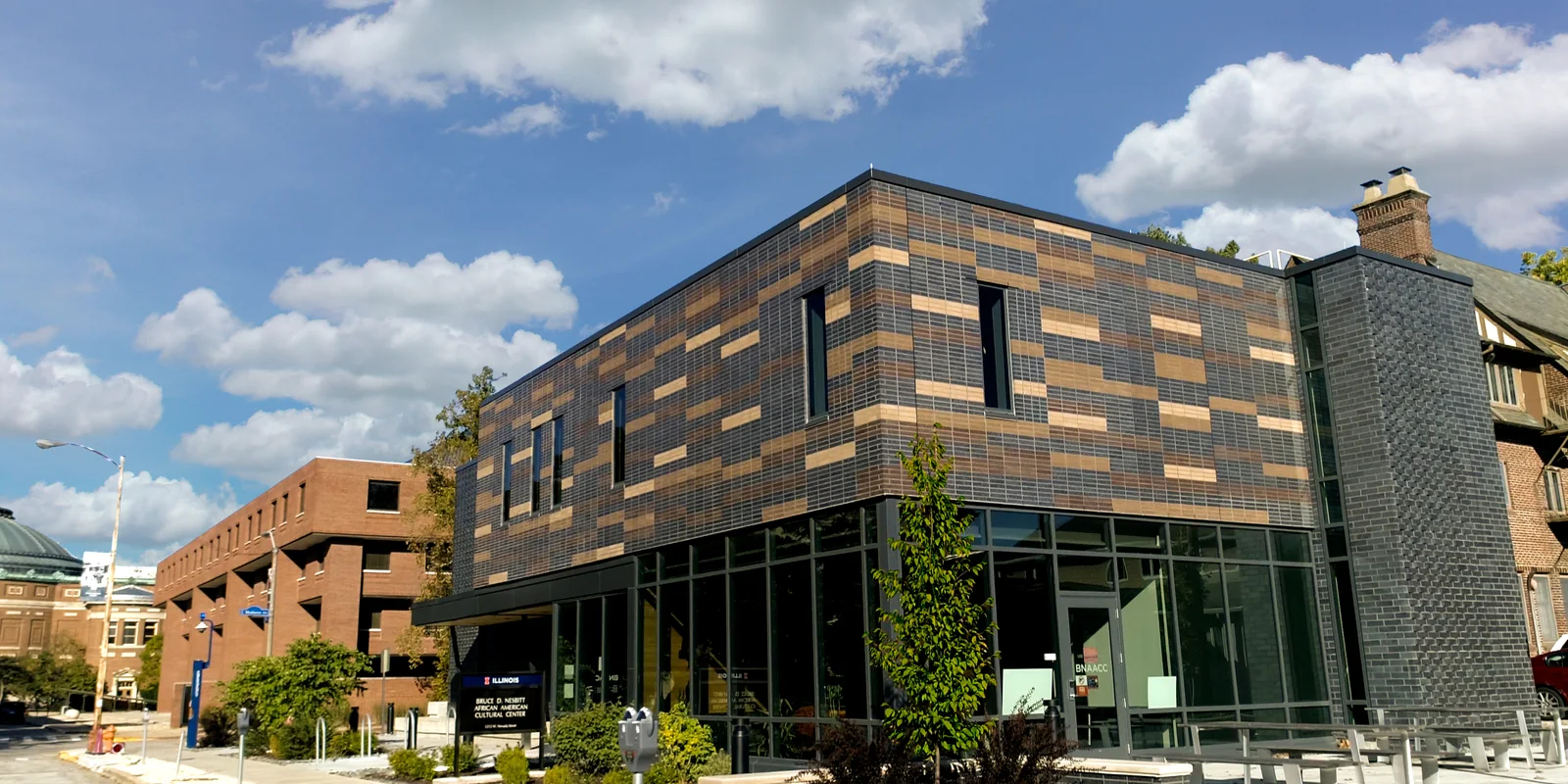 Endicott thin brick, Bruce D. Nesbitt African American Cultural Center, Champaign, Illinois