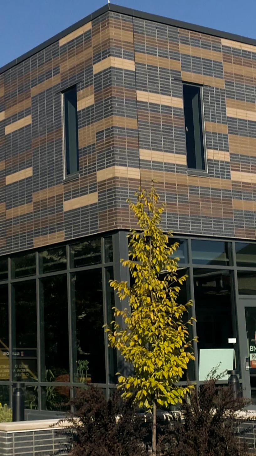 Endicott thin brick, Bruce D. Nesbitt African American Cultural Center, Champaign, Illinois